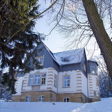 Villa-Unger Altenberg  Exteriér fotografie