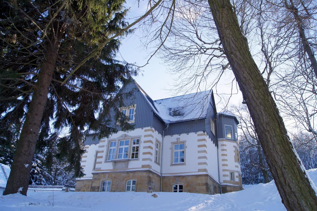 Villa-Unger Altenberg  Exteriér fotografie